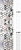 novita-geometry-light-silver-sf-650x650
